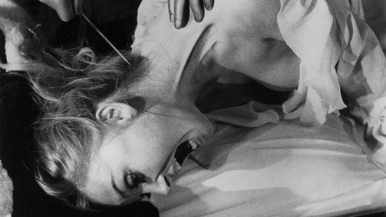 The Black Belly of the Tarantula still 6
