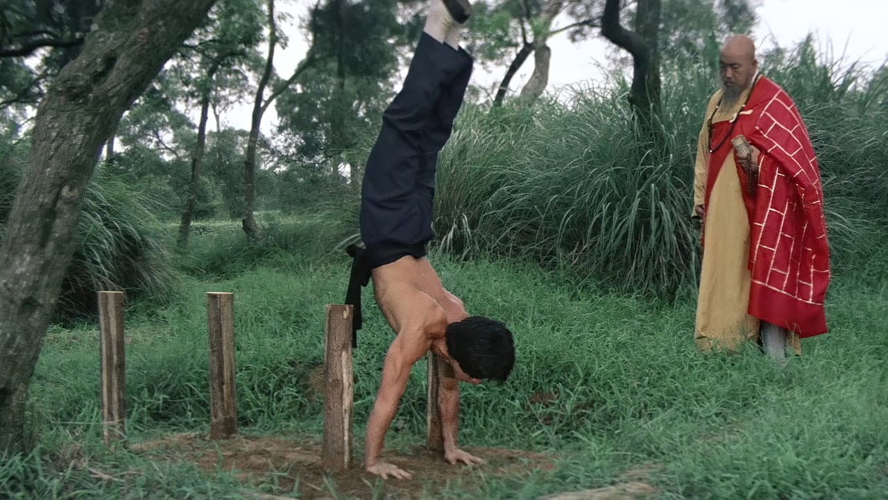 Shaolin Wooden Men still 8