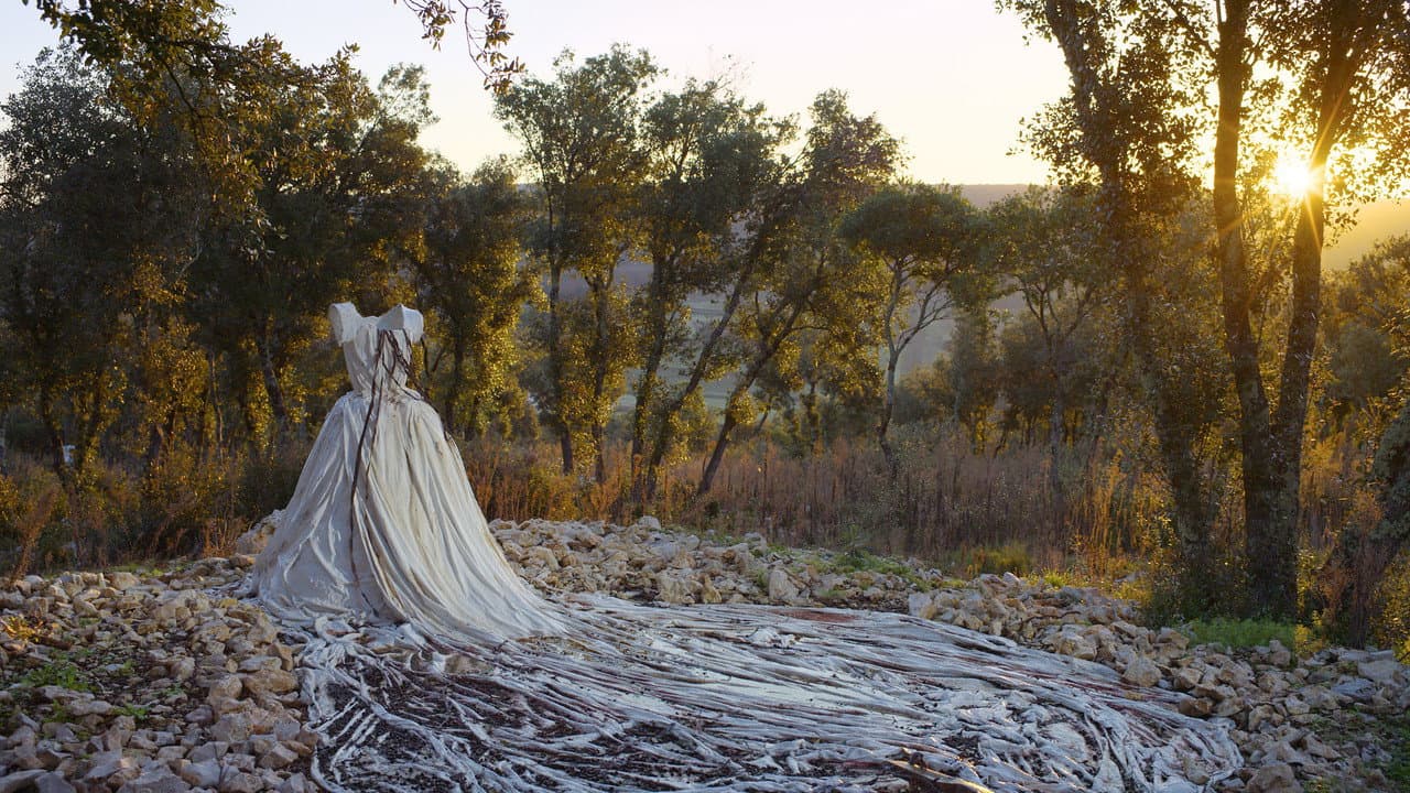 Anselm still 5