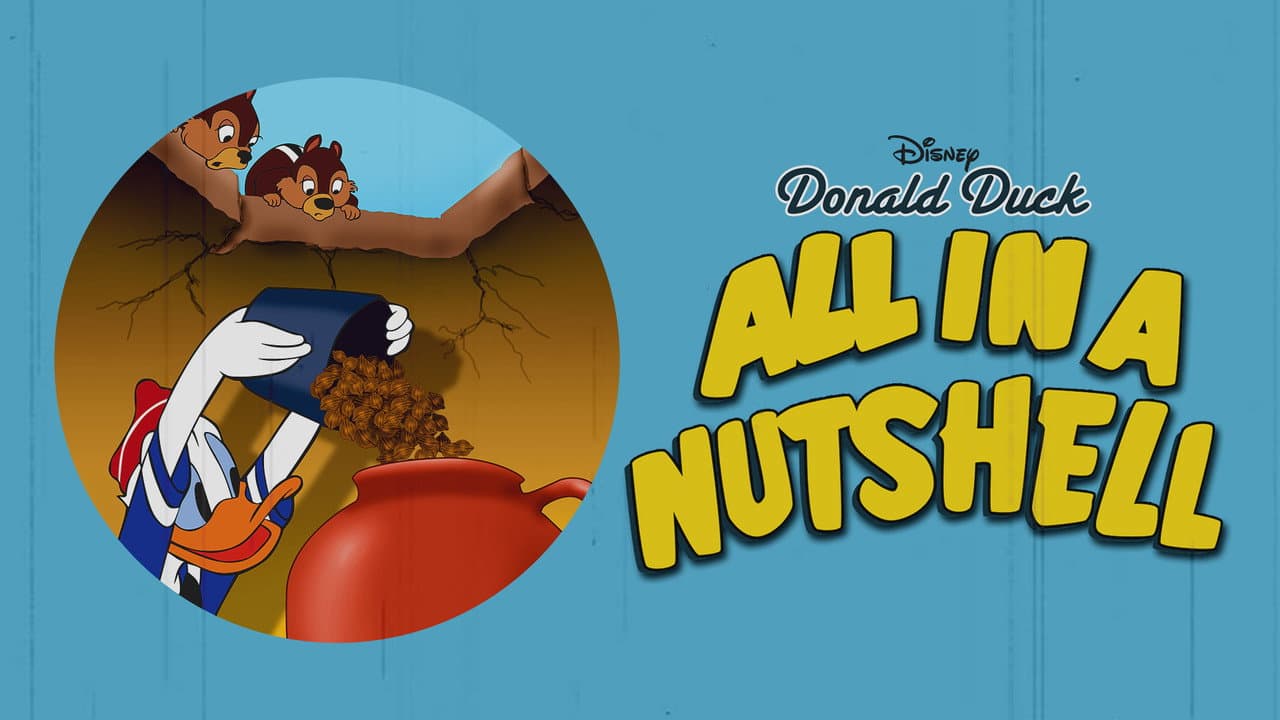 All in a Nutshell still 8