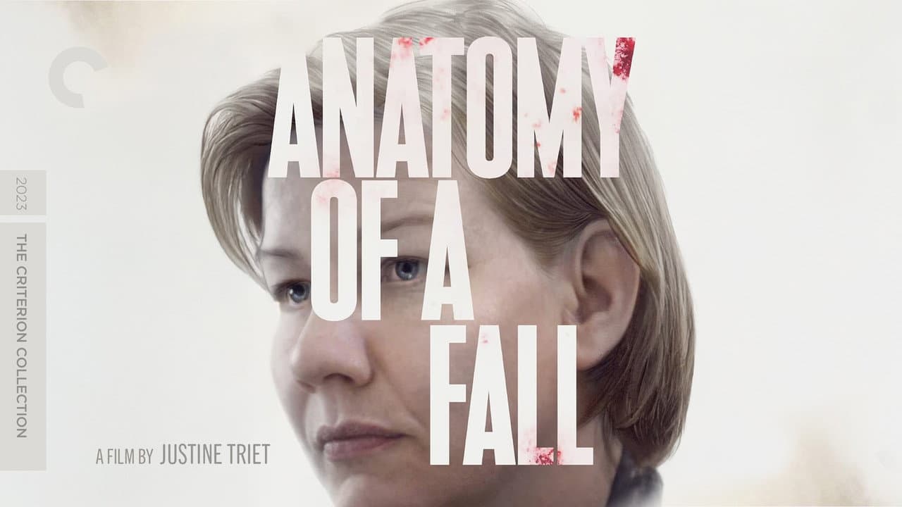Anatomy of a Fall still 5