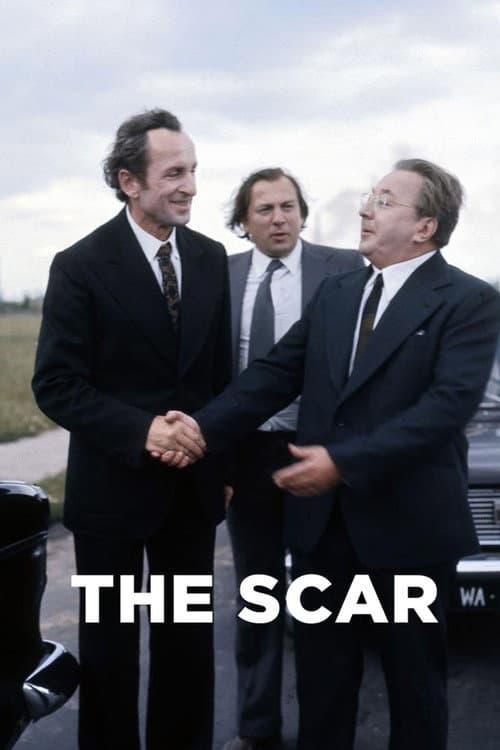 The Scar still 7
