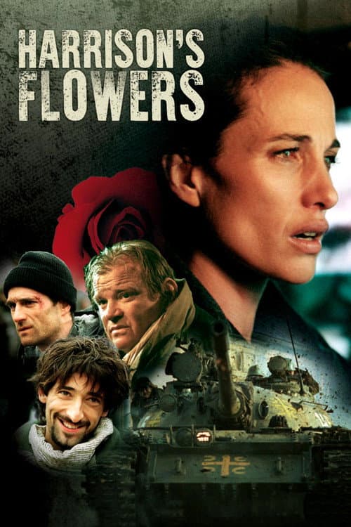 Harrison's Flowers still 3