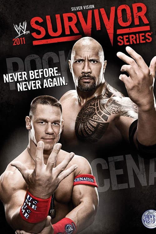 WWE Survivor Series 2011 still 4