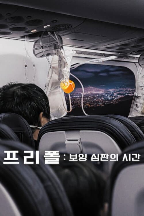 Freefall Boeing Review: True-Crime Thriller Exposé still 6