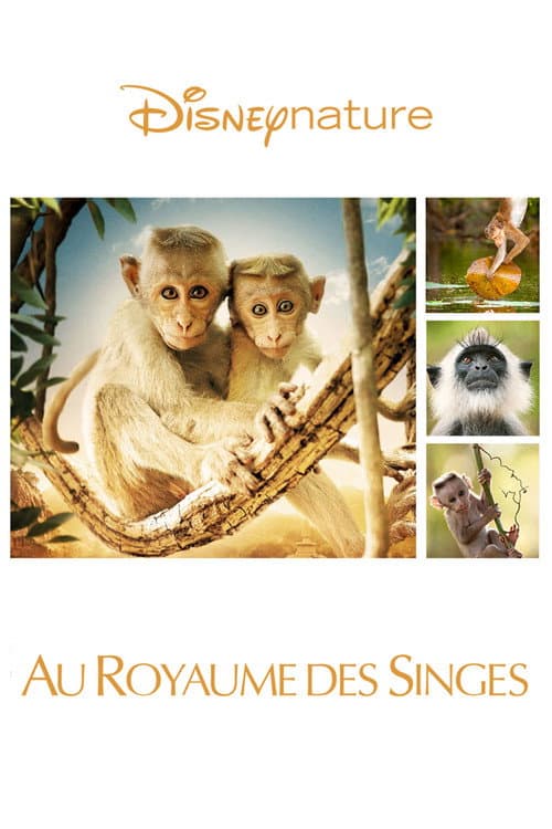 Monkey Kingdom still 8