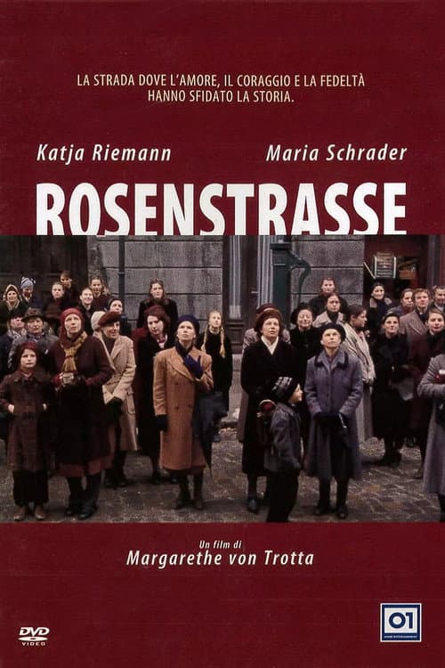 Rosenstrasse still 8