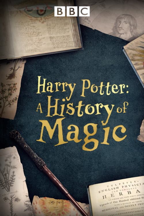 Harry Potter: A History Of Magic still 8