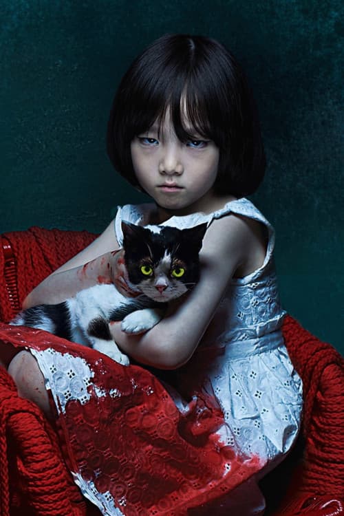 The Cat still 8
