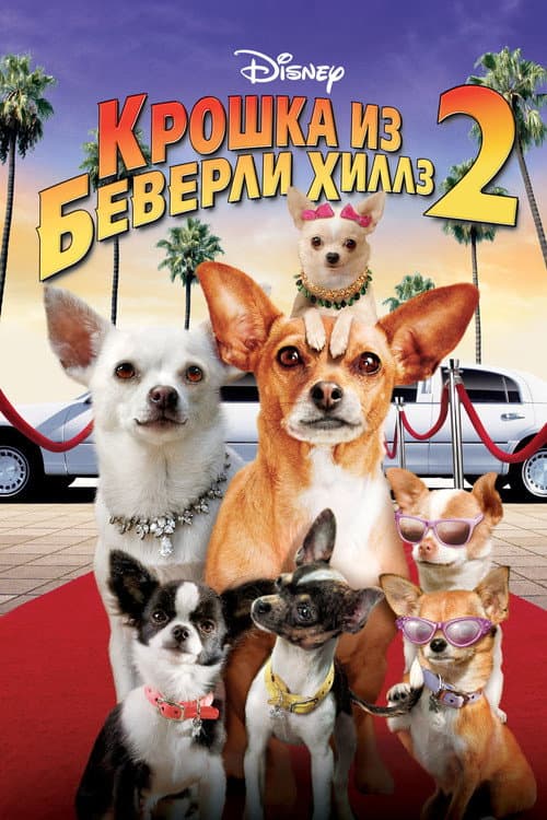 Beverly Hills Chihuahua 2 still 7