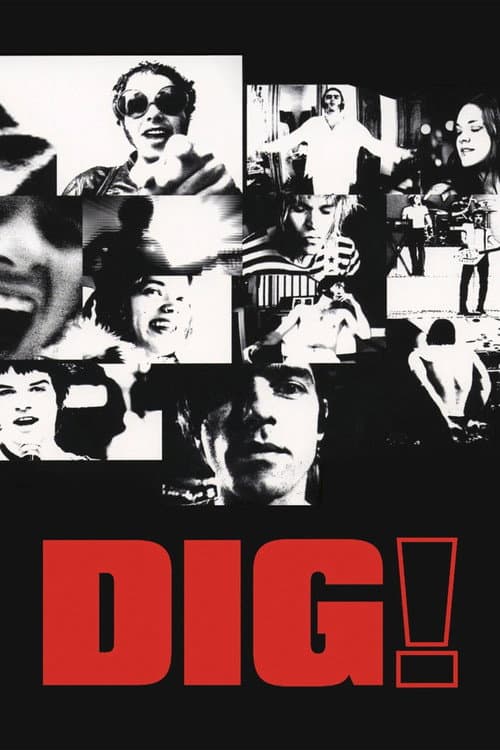 Dig! still 3