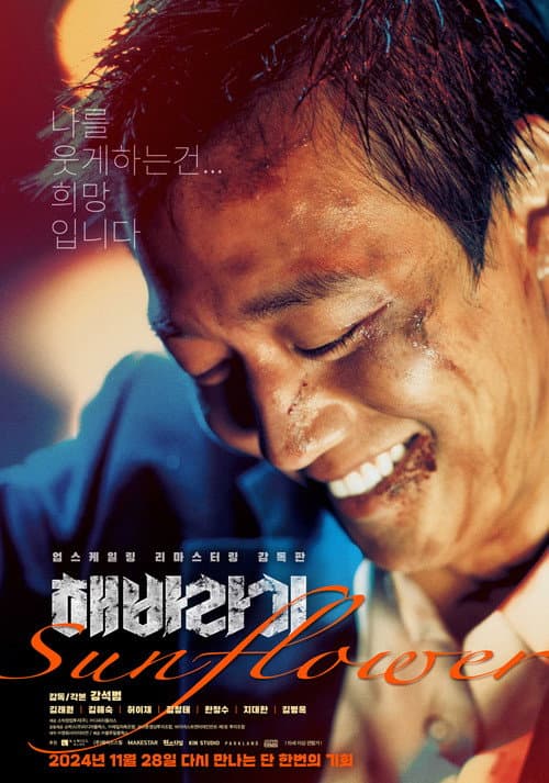 Sunflower still 8