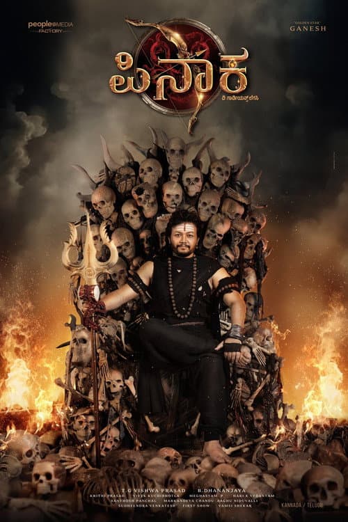 Pinaka Review: Ganesh's Mythological Action Gamble still 2