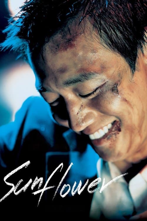Sunflower still 7