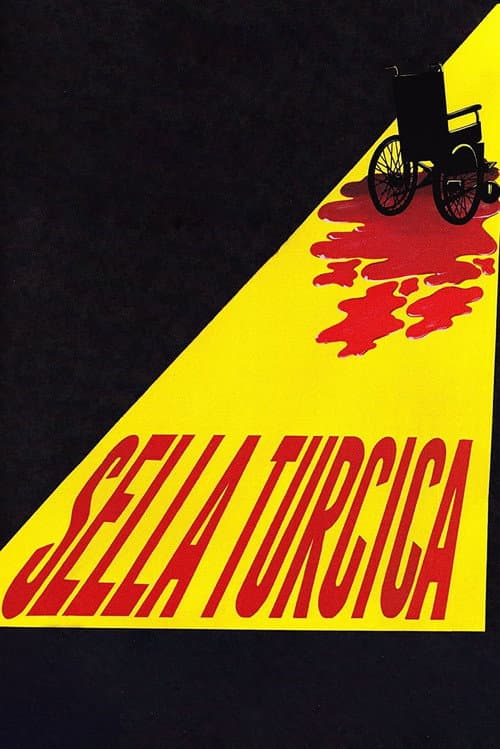 Sella Turcica still 1