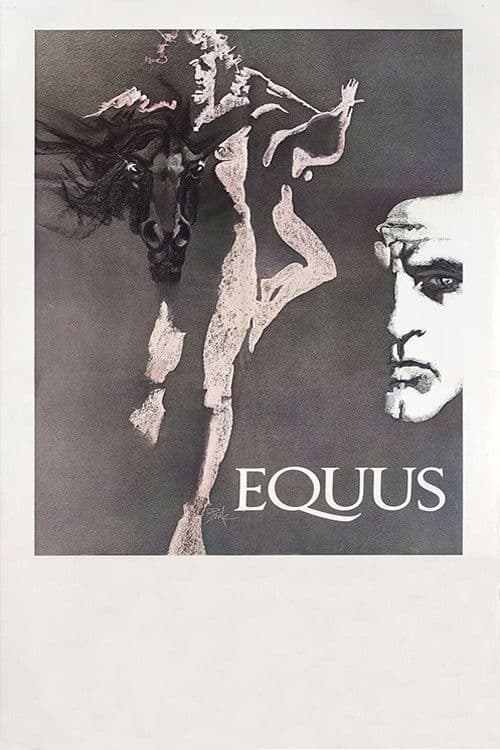 Equus still 8