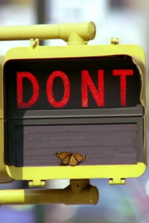 Don't still 6