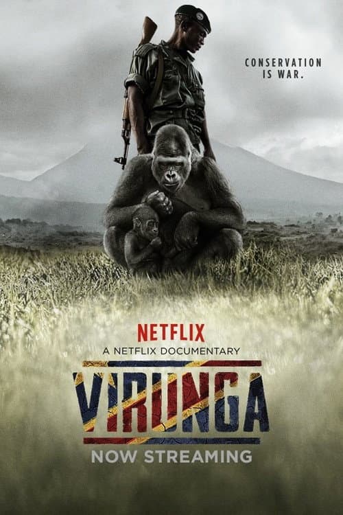 Virunga still 6