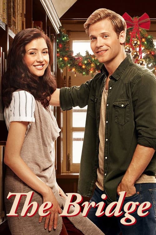 The Bridge still 4