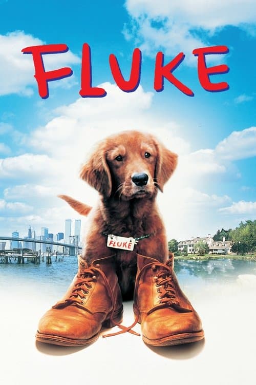 Fluke still 8