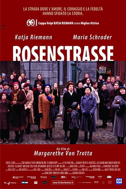 Rosenstrasse still 7