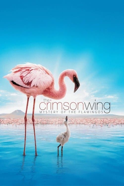 The Crimson Wing: Mystery of the Flamingos still 8